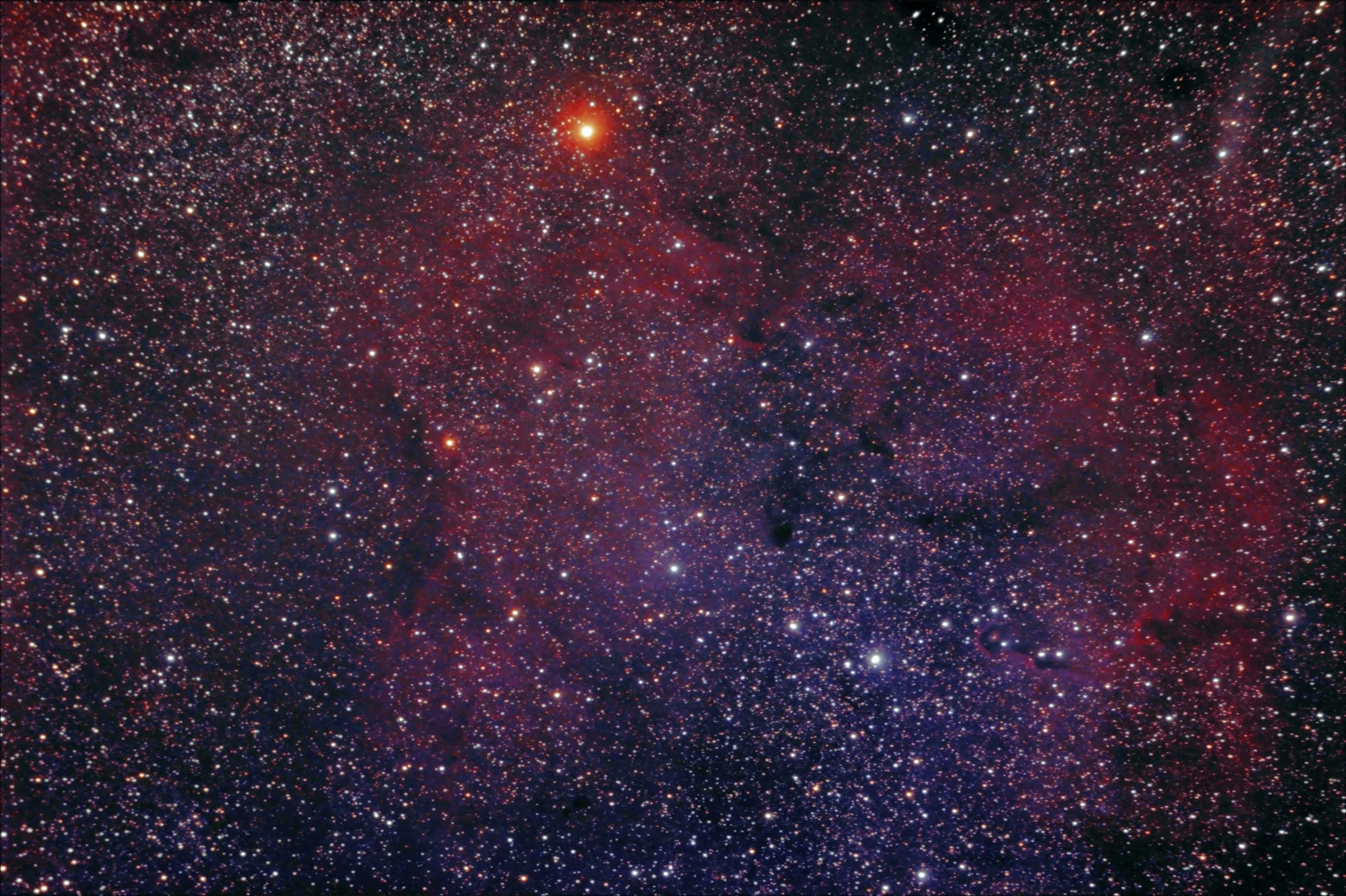 The Garnet Star and Elephant's Trunk Nebula