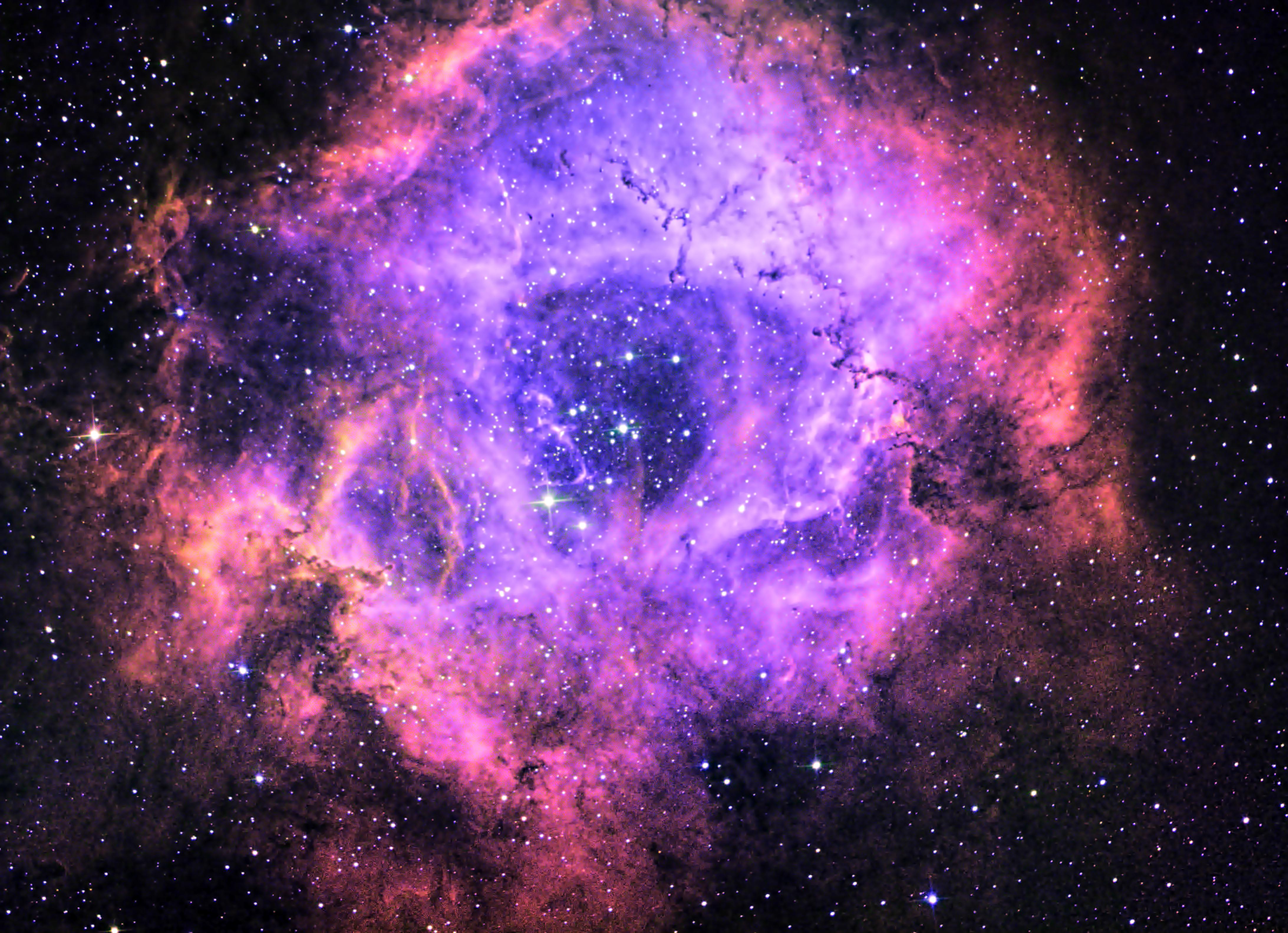 Rosette Nebula in False Colour Narrowband Ha, Sii, Oiii