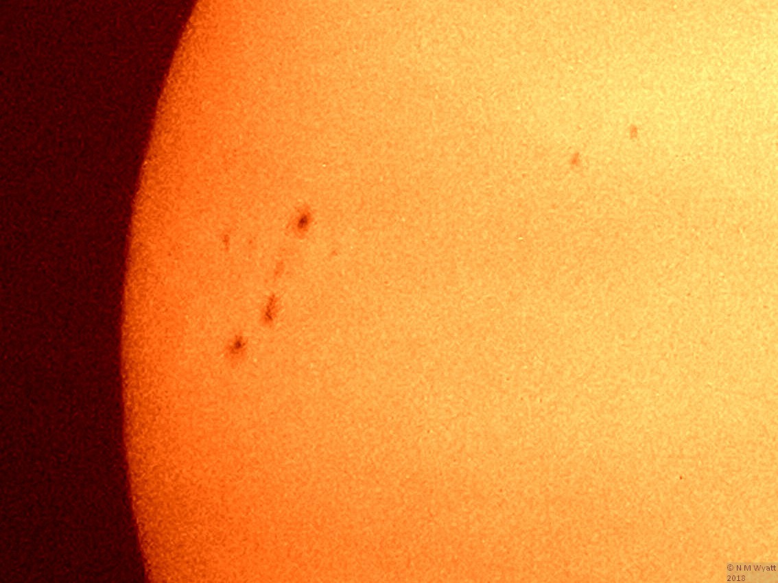 Suinspots on part of the sun's disc, showing surrounding faculae