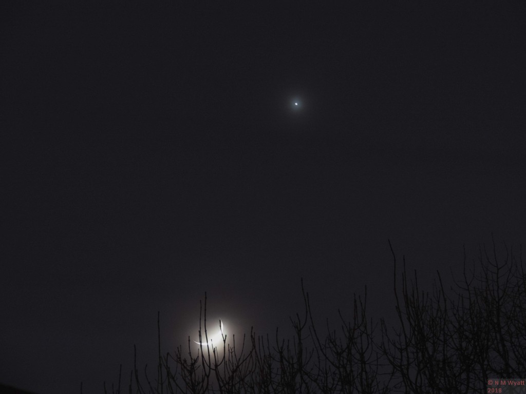 Conjunction of Moon and Venus seen ona slightly misty night, with teh moon partly behind trees